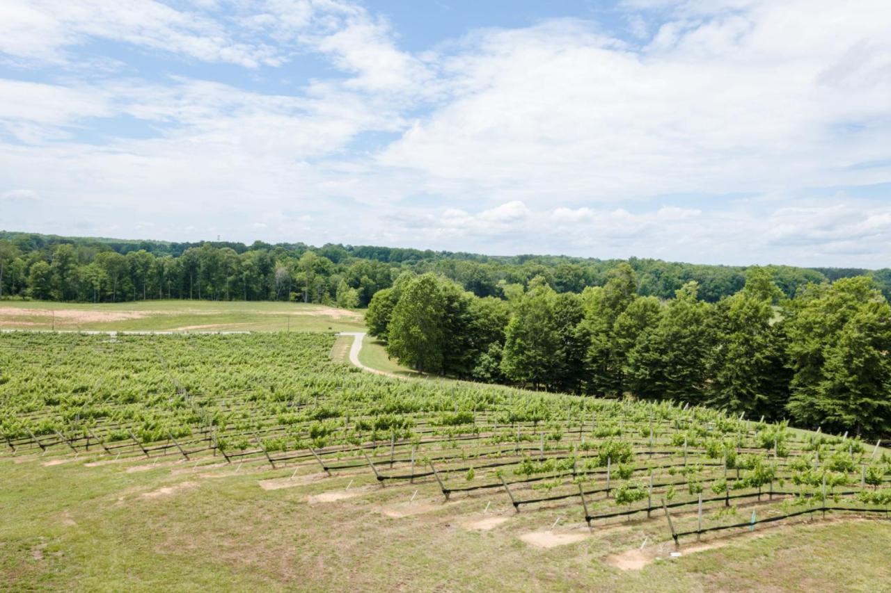Express & North West-the Vineyard By Ihg Hotel 2*